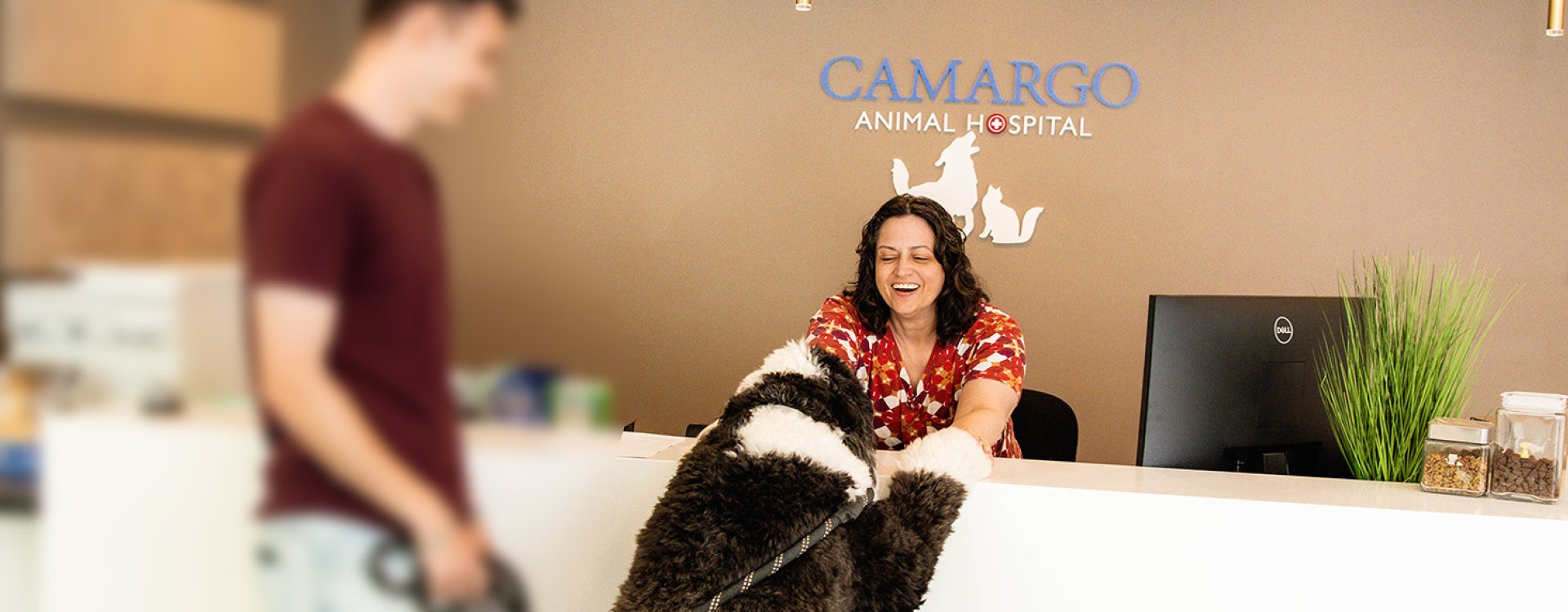 receptionist and client with sheepdog